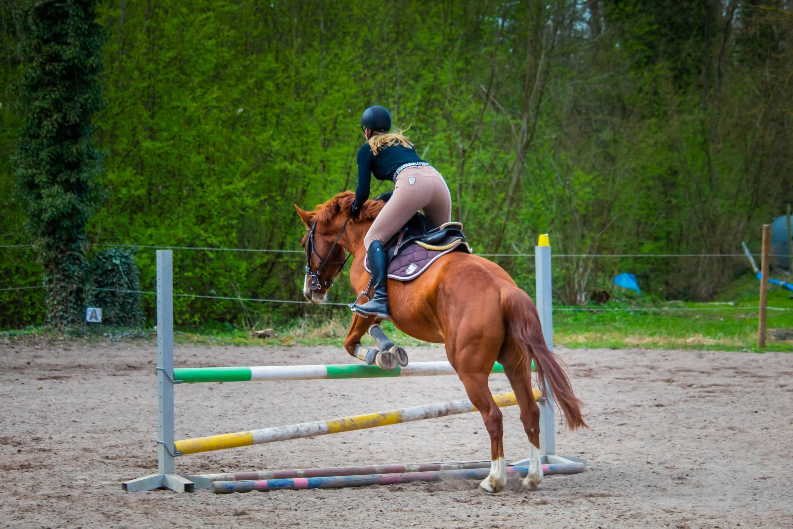 Kurs instruktora jazdy konnej